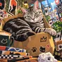 torayanの猫アイコン